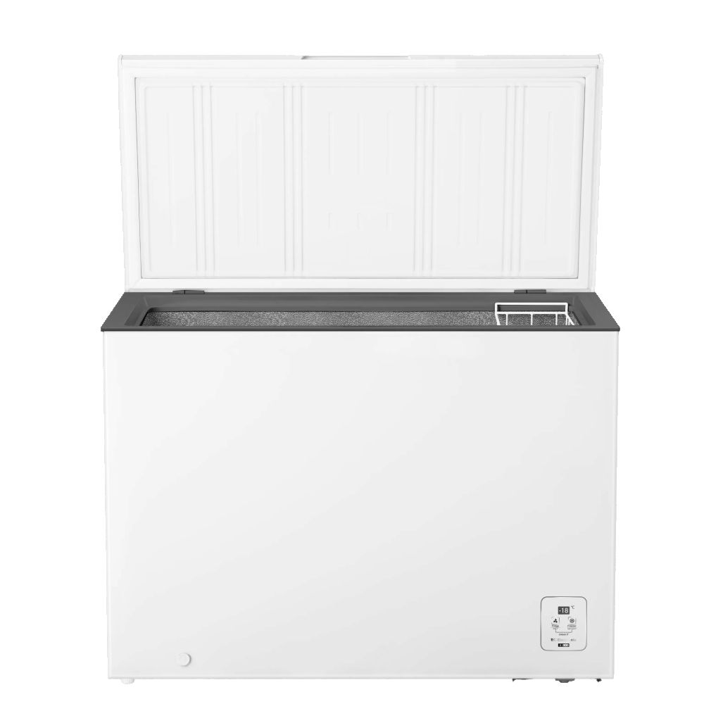 მაცივარი Hisense FT300N1AW1