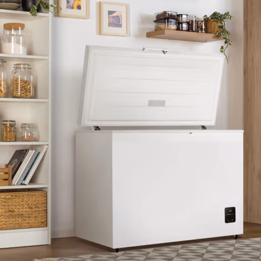საყინულე მაცივარი  GORENJE FH30EAW 297ლიტრი